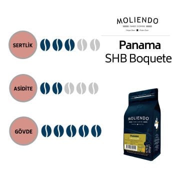 Moliendo Panama SHB Boquete Yöresel Kahve 1000 gr.